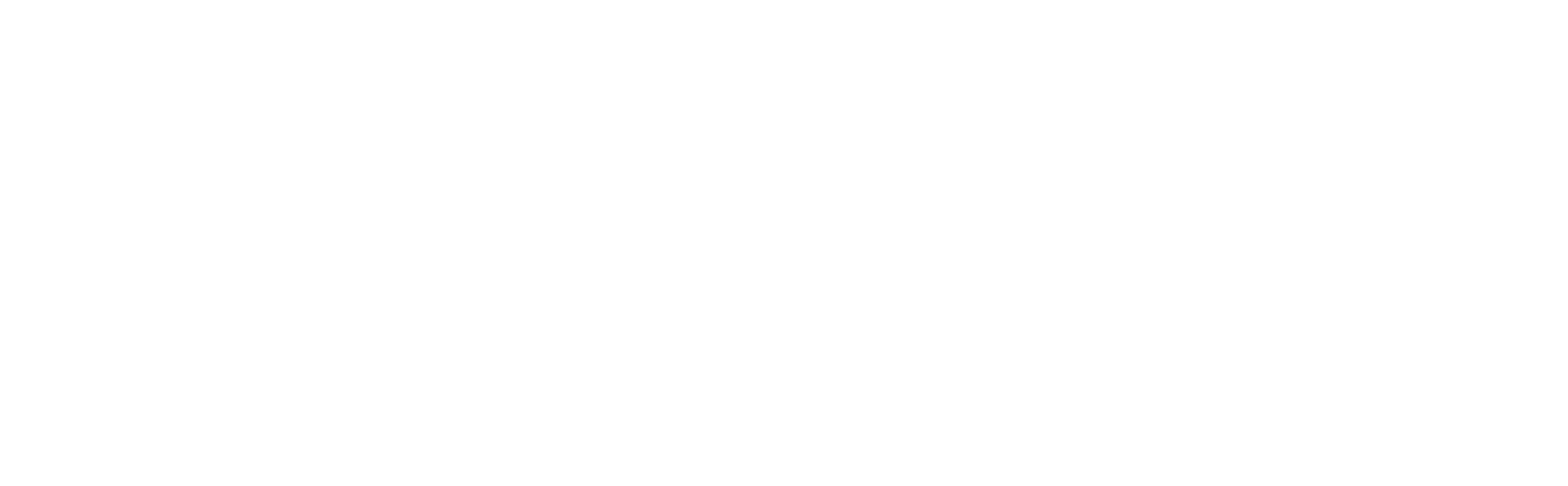 EXOSYN - Export Synergy